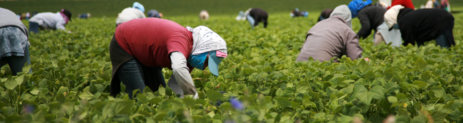 4.11 – Agricultural Worker Outreach – 1500×400